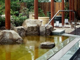 豊島園　庭の湯